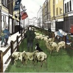 Back to the Source – Wool